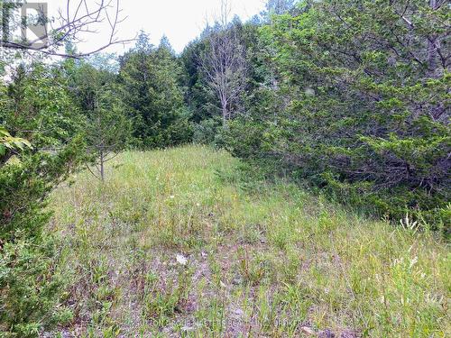 0 Colebrook Road, Stone Mills (Stone Mills), ON 