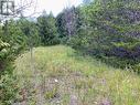 0 Colebrook Road, Stone Mills (Stone Mills), ON 
