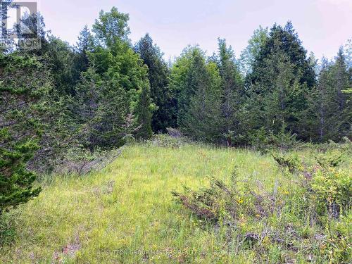 0 Colebrook Road, Stone Mills (Stone Mills), ON 