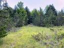 0 Colebrook Road, Stone Mills (Stone Mills), ON 