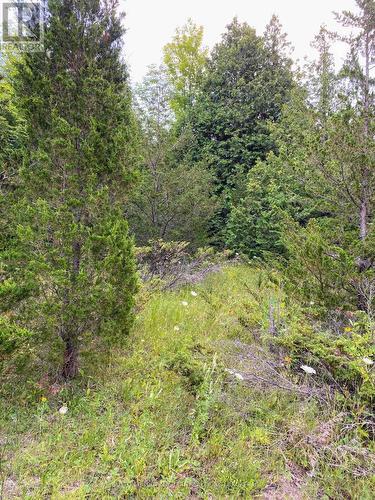 0 Colebrook Road, Stone Mills (Stone Mills), ON 