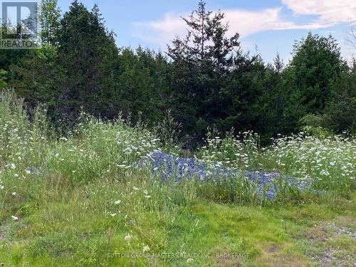 0 Colebrook Road, Stone Mills (Stone Mills), ON 