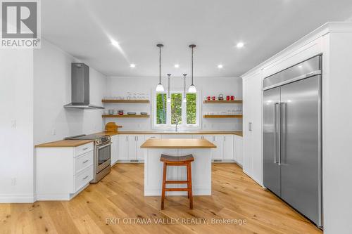 698 Mitchell Road, Madawaska Valley, ON - Indoor Photo Showing Kitchen With Upgraded Kitchen