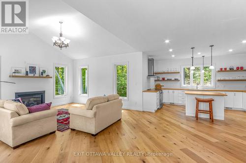 698 Mitchell Road, Madawaska Valley, ON - Indoor Photo Showing Living Room With Fireplace
