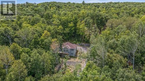 698 Mitchell Road, Madawaska Valley, ON - Outdoor With Body Of Water With View