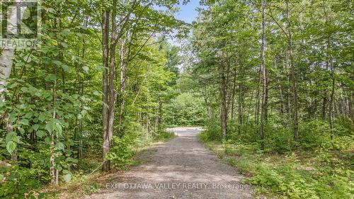 698 Mitchell Road, Madawaska Valley, ON - Outdoor