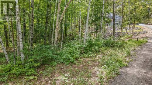 698 Mitchell Road, Madawaska Valley, ON - Outdoor
