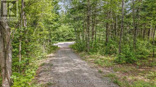 698 Mitchell Road, Madawaska Valley, ON - Outdoor