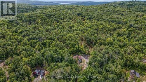 698 Mitchell Road, Madawaska Valley, ON - Outdoor With View