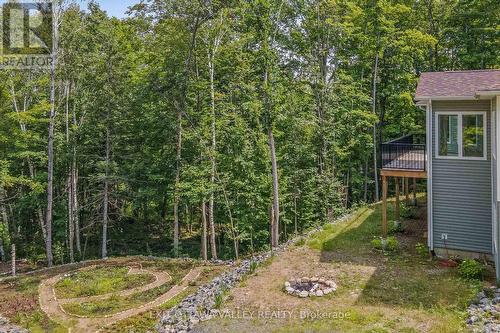 698 Mitchell Road, Madawaska Valley, ON - Outdoor