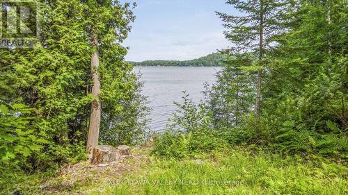698 Mitchell Road, Madawaska Valley, ON - Outdoor With Body Of Water With View