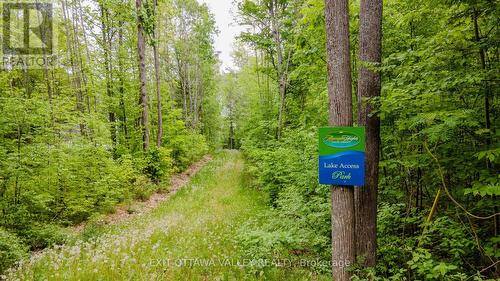 698 Mitchell Road, Madawaska Valley, ON - Outdoor