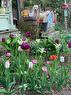 114 Clark Street, Blue Mountains, ON  - Outdoor 