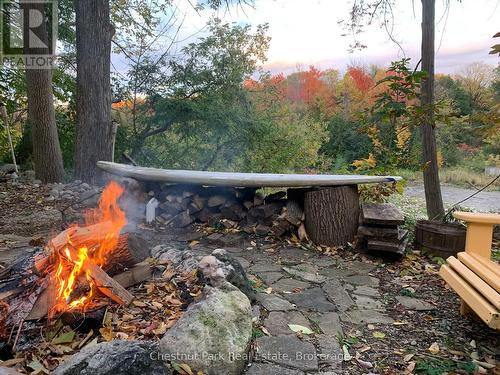 114 Clark Street, Blue Mountains, ON - Outdoor