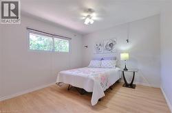 Bright room featuring wood-finish flooring, a double window, and a ceiling fan with integrated lighting - 