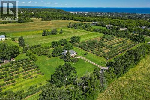 Expansive property featuring a single-story residence, multiple rows of cultivated trees, and a gravel driveway - 134 Russ Road, Grimsby, ON - Outdoor With View