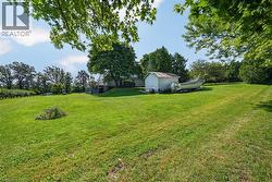 Expansive green lawn with mature trees and a detached shed - 