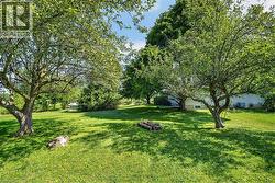 Expansive green lawn with mature trees providing dappled sunlight - 