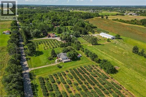 Expansive property featuring structured rows of plantings, a large main residence, and a separate agricultural building - 134 Russ Road, Grimsby, ON - Outdoor With View