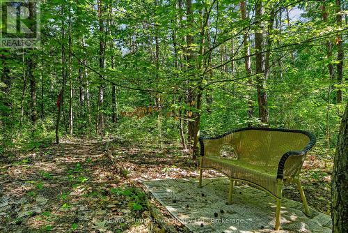 149 Pine Tree Lane, Cramahe (Colborne), ON - Outdoor