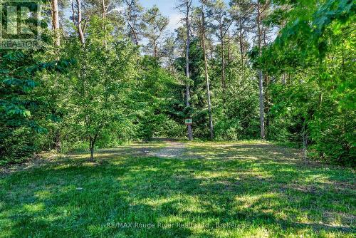 149 Pine Tree Lane, Cramahe (Colborne), ON - Outdoor
