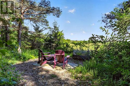 149 Pine Tree Lane, Cramahe (Colborne), ON - Outdoor