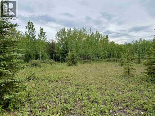 14509 Sackner Road, Vanderhoof, BC 