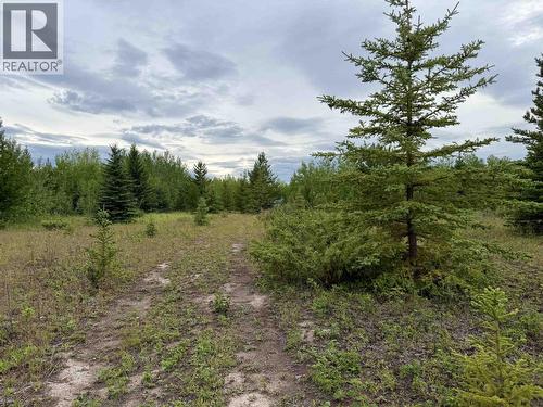 14509 Sackner Road, Vanderhoof, BC 