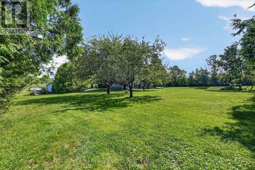 134 Russ Road, Grimsby, ON - Outdoor