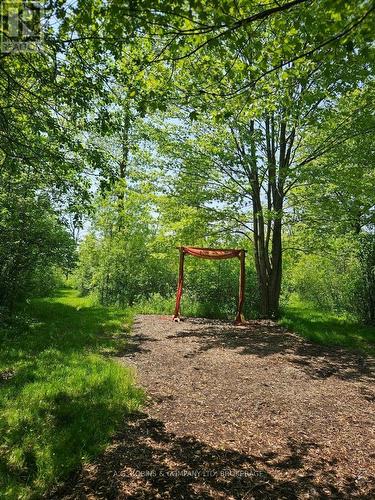 Back woods - 972 Silver Bay Road, Port Colborne (Sherkston), ON - Outdoor