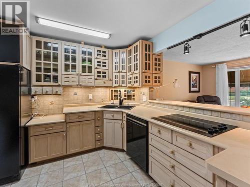 5564 Baldwin Avenue, Windsor, ON - Indoor Photo Showing Kitchen With Double Sink