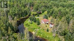 Bend in the River - 