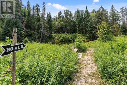 To the Beach - 8488 County Road 503 Road, Highlands East (Glamorgan), ON - Outdoor