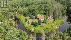 Open Spaces and Well-treed Forest - 
