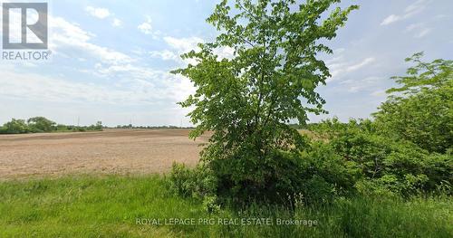 9858 Nichols Lane, Niagara Falls, ON - Outdoor With View