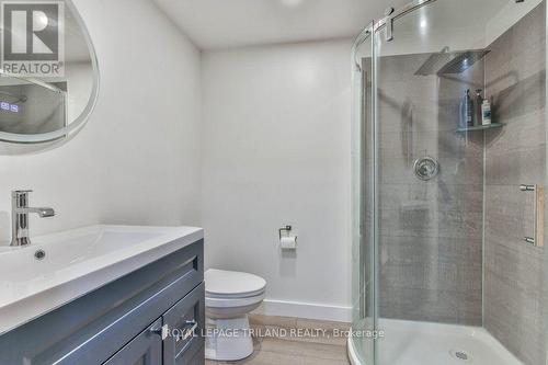 425 Queen Street, Lucan Biddulph (Granton), ON - Indoor Photo Showing Bathroom