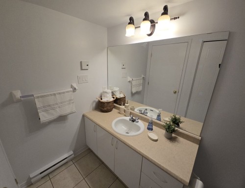 Bathroom - 1-389 Boul. Des Grives, Gatineau (Hull), QC - Indoor Photo Showing Bathroom