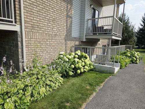 Exterior - 1-389 Boul. Des Grives, Gatineau (Hull), QC - Outdoor