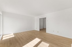 Living Room - 