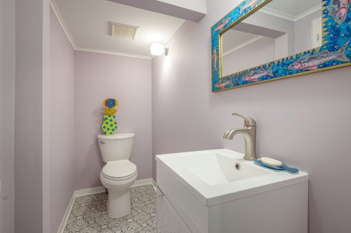 Salle d'eau - 85 Rue Maple, Hudson, QC - Indoor Photo Showing Bathroom