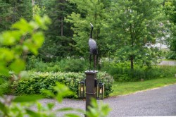 Entry - 