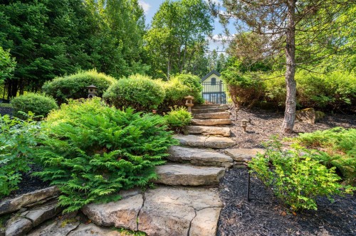 Courtyard - 121 Rue Des Épinettes, Morin-Heights, QC - Outdoor