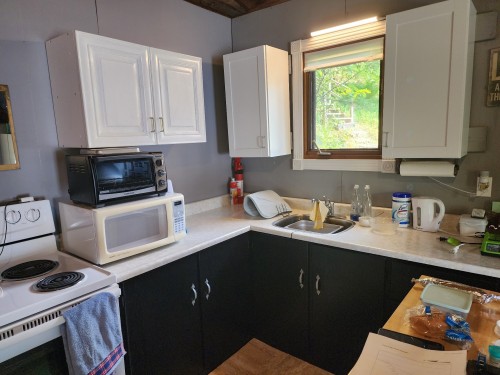 Kitchen - 52  - 54 Ch. De La Carpe, Bouchette, QC - Indoor Photo Showing Kitchen With Double Sink
