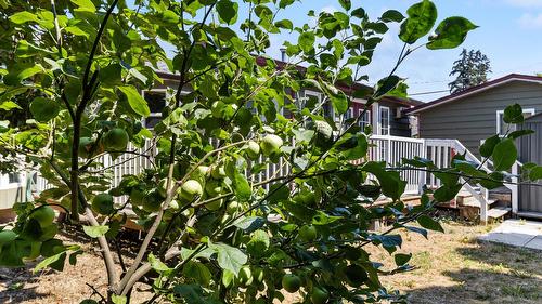 925 Sutherland Avenue, Kelowna, BC - Outdoor