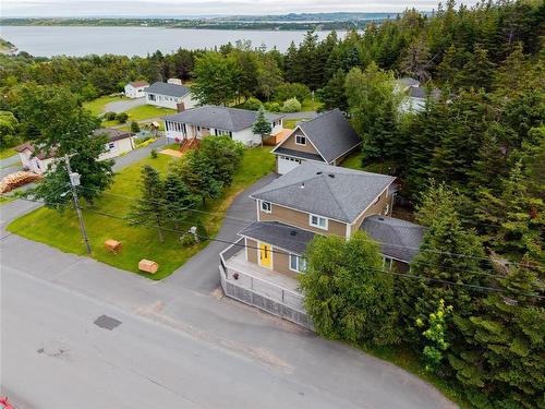 47 New Harbour Road, Spaniards Bay, NL - Outdoor With View