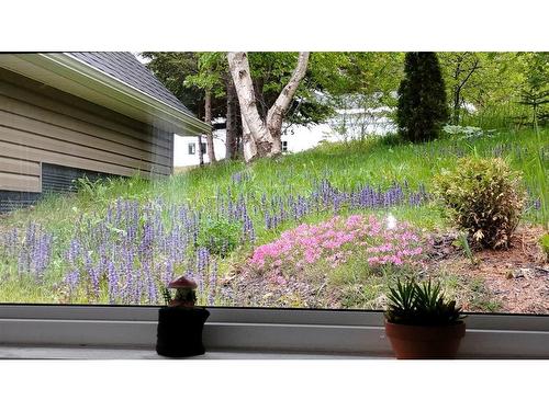 47 New Harbour Road, Spaniards Bay, NL - Outdoor