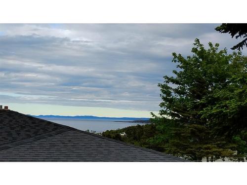 47 New Harbour Road, Spaniards Bay, NL - Outdoor With View