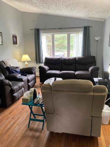 40 Quebec Street, St. John'S, NL - Indoor Photo Showing Living Room