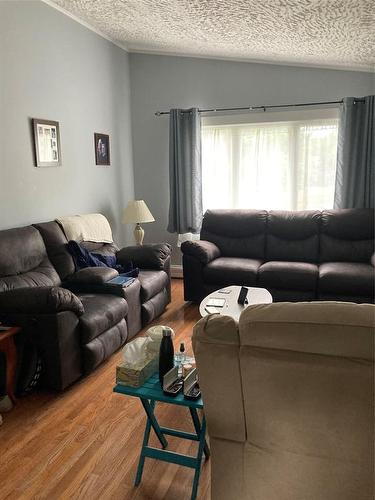 40 Quebec Street, St. John'S, NL - Indoor Photo Showing Living Room