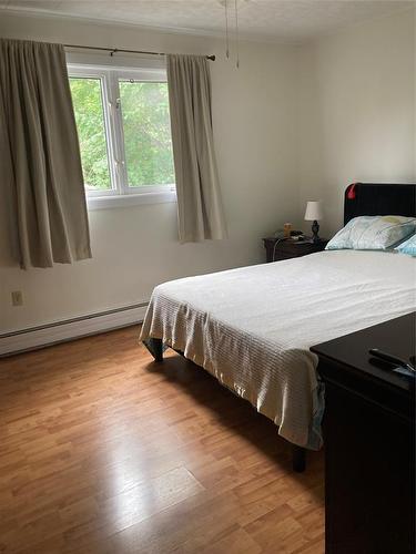 40 Quebec Street, St. John'S, NL - Indoor Photo Showing Bedroom